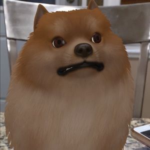 Meet your Posher, Ashlee